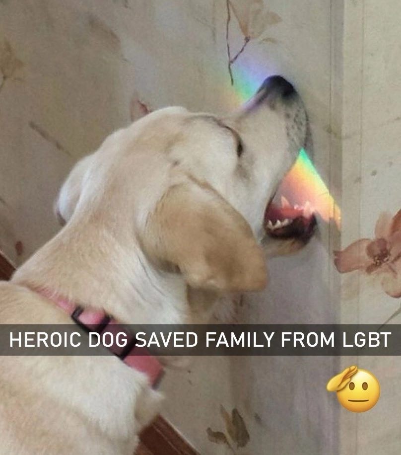 HEROIC DOG SAVED FAMILY FROM LGBT