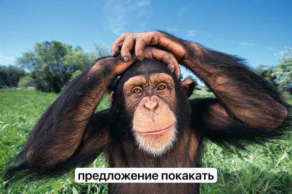 предложение покакать