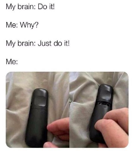 My brain: it! Me: Why? My brain: Just it! Me: