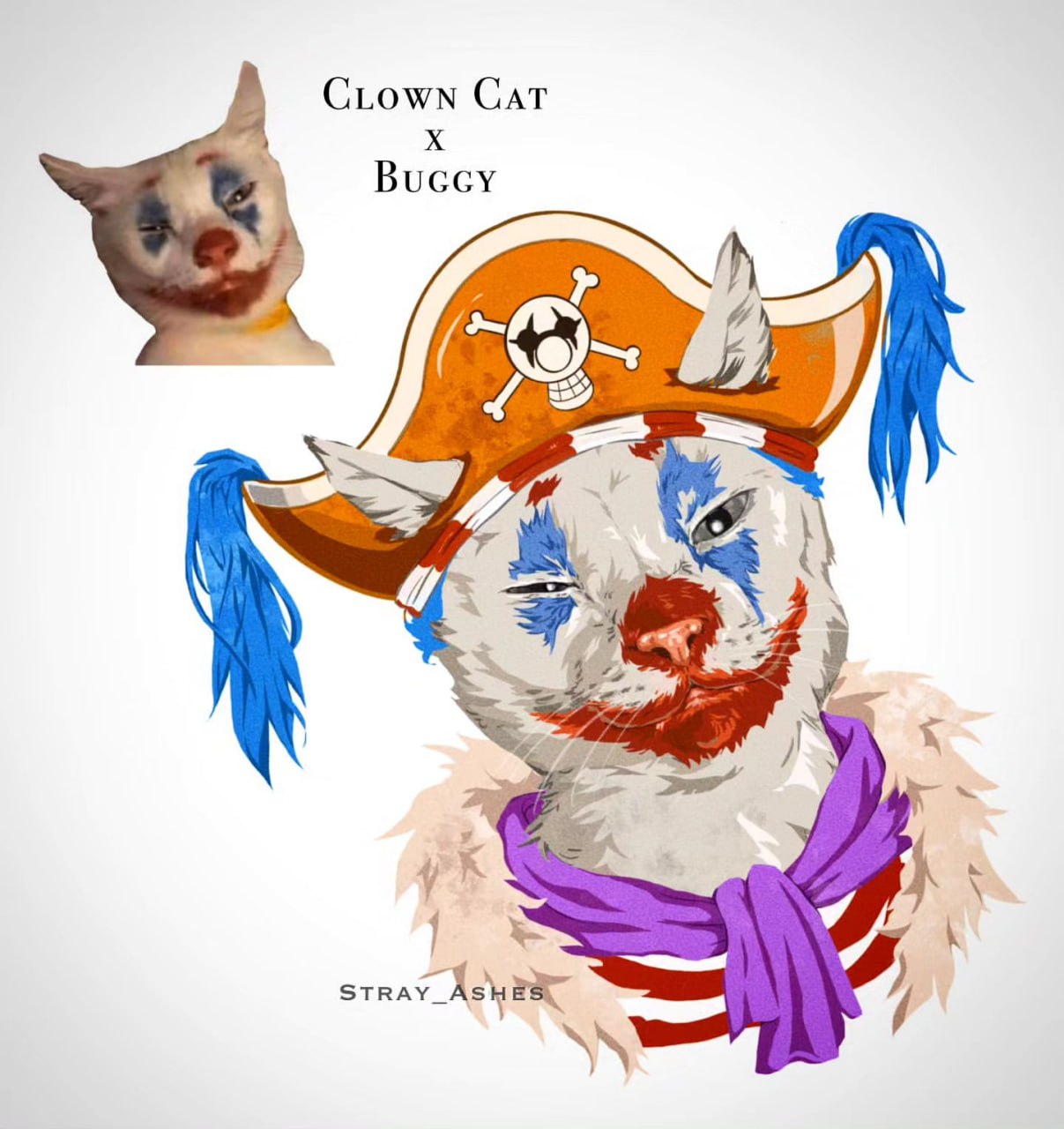CLOWN CAT Buccy 29) STRAY