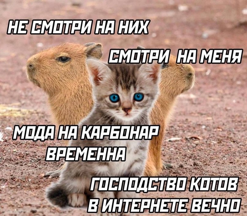 НЕ CMO ТРИ НА НИХ a и МЕНЯ MOAA НА TBO KOTOR В ИНТЕРНЕТЕ ВЕЧНО
