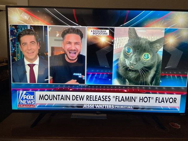 FOX MOUNTAIN DEW RELEASES HOT" FLAVOR