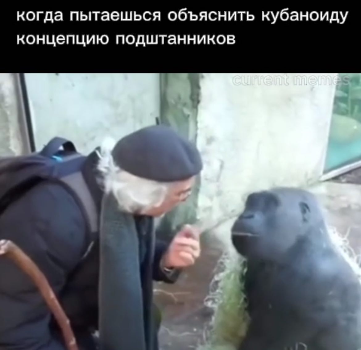 когда пытаешься объяснить кубаноиду концепцию подштанников