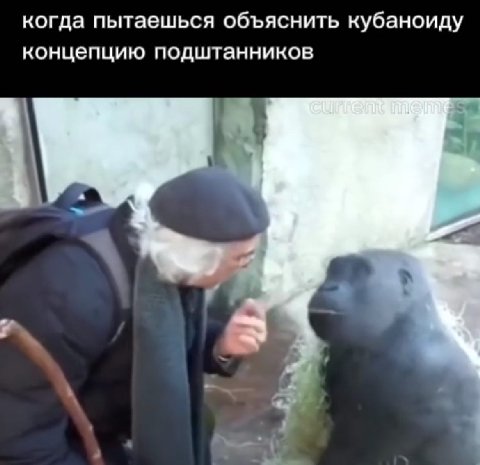 когда пытаешься объяснить кубаноиду концепцию подштанников