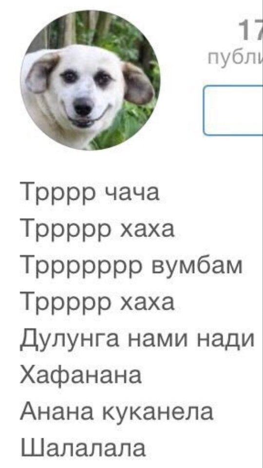 публ Tpppp yaya Tppppp xaxa Тррррррр вумбам Тррррр хаха Дулунга нами нади Хафанана Анана куканела [Шалалала