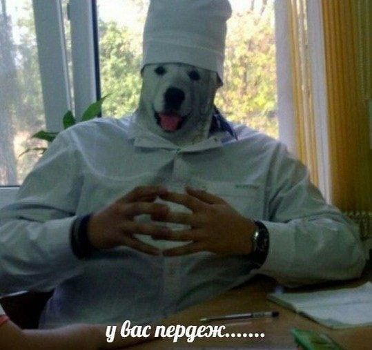 у вас пердеж