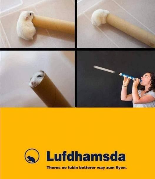 Lufdhamsda fukin betterer way zum Я