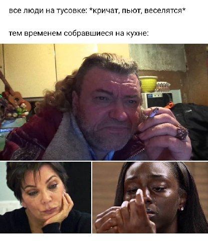 все люди на тусовке: *кричат, пьют, веселятся* тем временем собравшиеся на кухне: