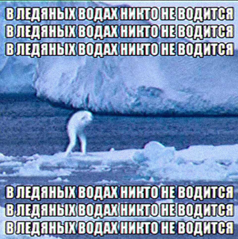 водится ВОДАХ ВОДАХ НИКТО. НЕ водится ВОДАХ НИКТО" HE ВОДАХ ЛЕДЯНЫХ