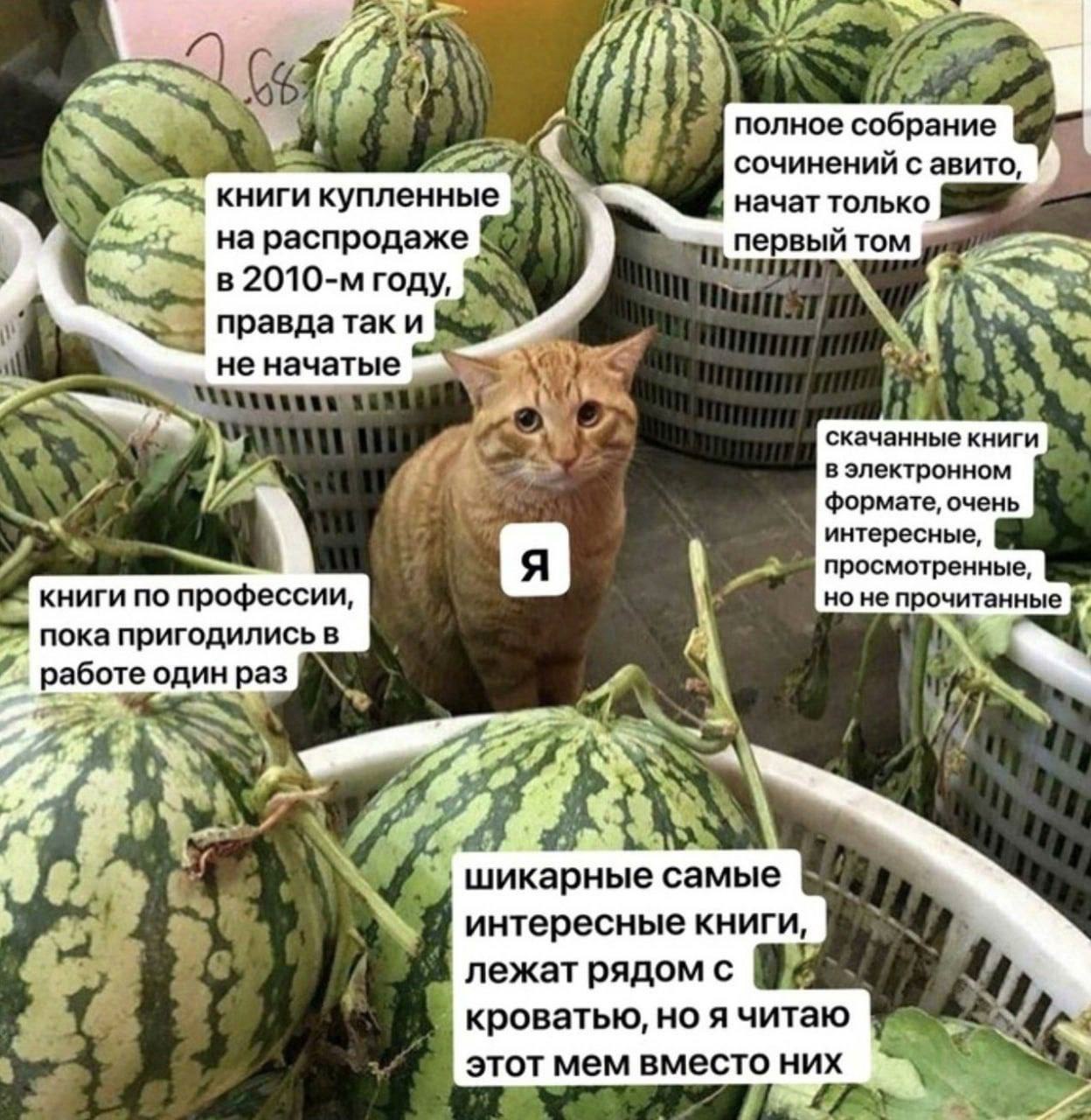 a 4 полное собрание сочинений с авито, книги купленные начат только 2 на распродаже первый том в году, Sen правда так и не начатые скачанные книги в электронном формате, очень интересные, просмотренны