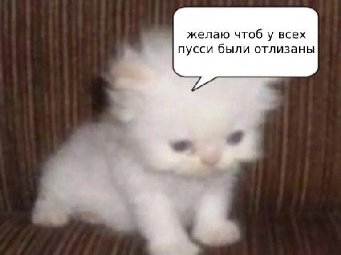 извините, что повторяюсь!