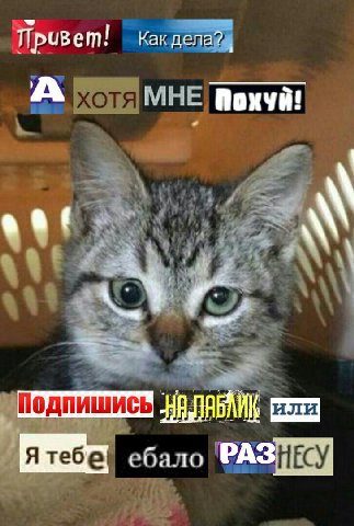Привет! Как А МНЕ Roxya! или ебало