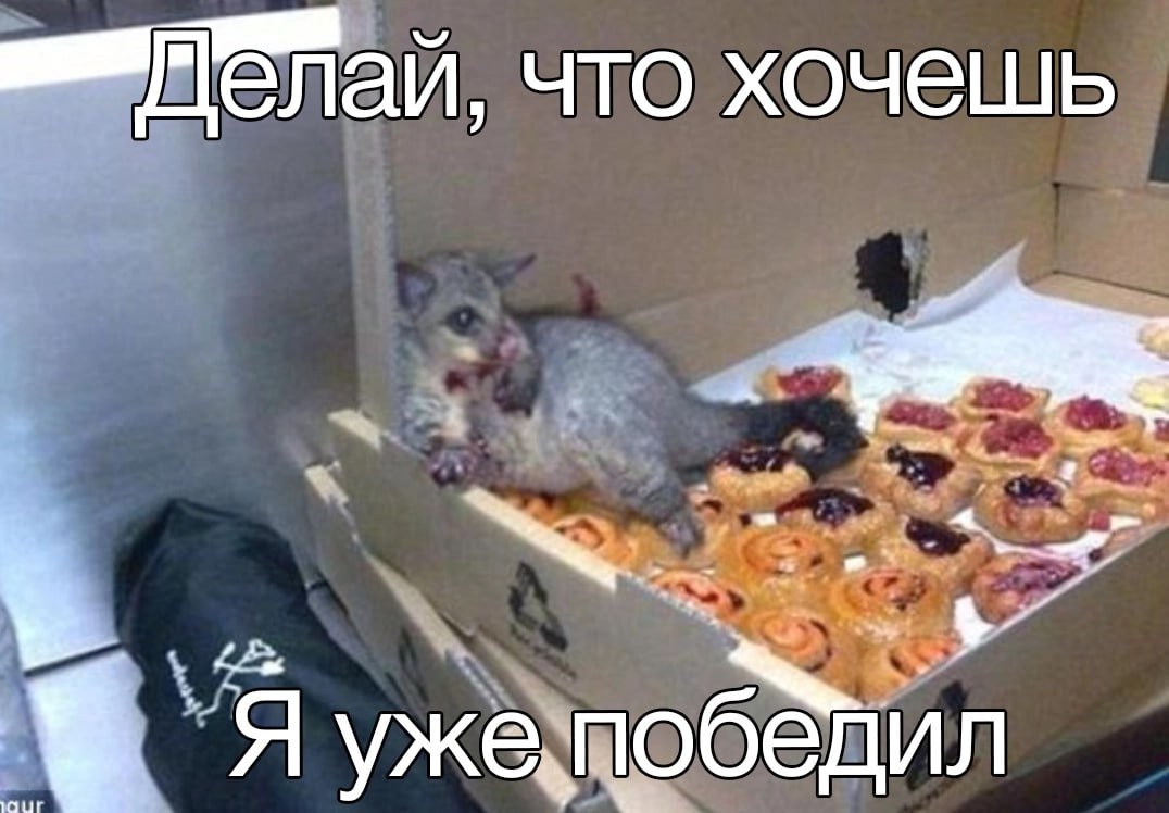 mMenan, что хочешь $7 Я ужемобедил