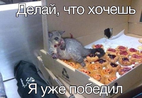 mMenan, что хочешь $7 Я ужемобедил