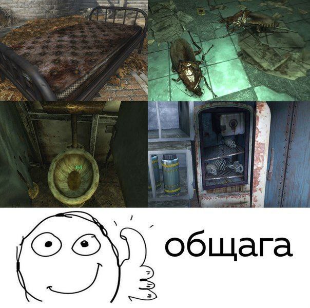 6 общага