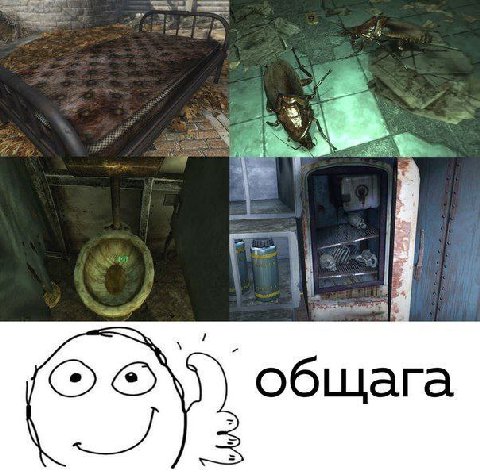 6 общага