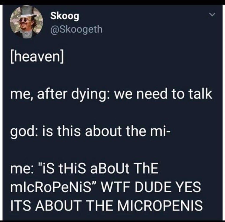 Skoog @Skoogeth [heaven] me, after dying: we need to talk god: is this about the me: "1$ tHiS aBoUt ThE mlcRoPeNiS” WTF DUDE YES ITS ABOUT THE MICROPENIS