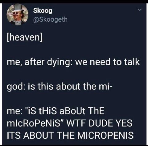 Skoog @Skoogeth [heaven] me, after dying: we need to talk god: is this about the me: "1$ tHiS aBoUt ThE mlcRoPeNiS” WTF DUDE YES ITS ABOUT THE MICROPENIS