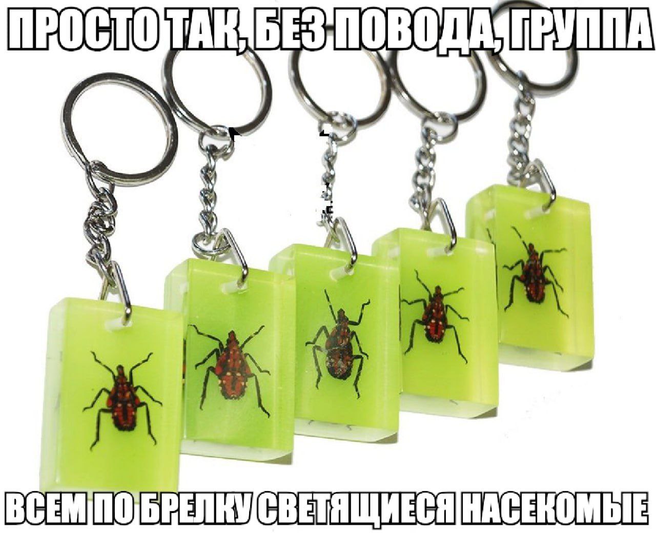 A, ВСЕМПОБРЕЛКУ НАСЕКОМЫЕ