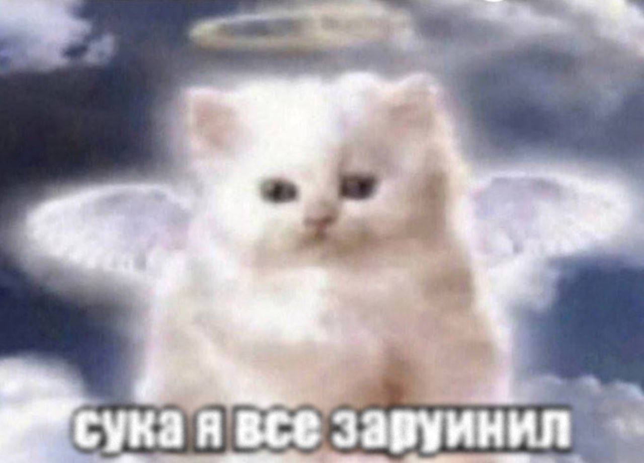 я все заруинил