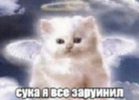 я все заруинил