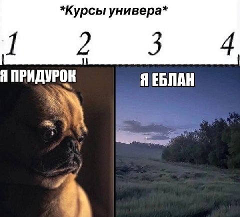 *Курсы универа* 2 3 Я ПРИДУ ЯЕБЛАН