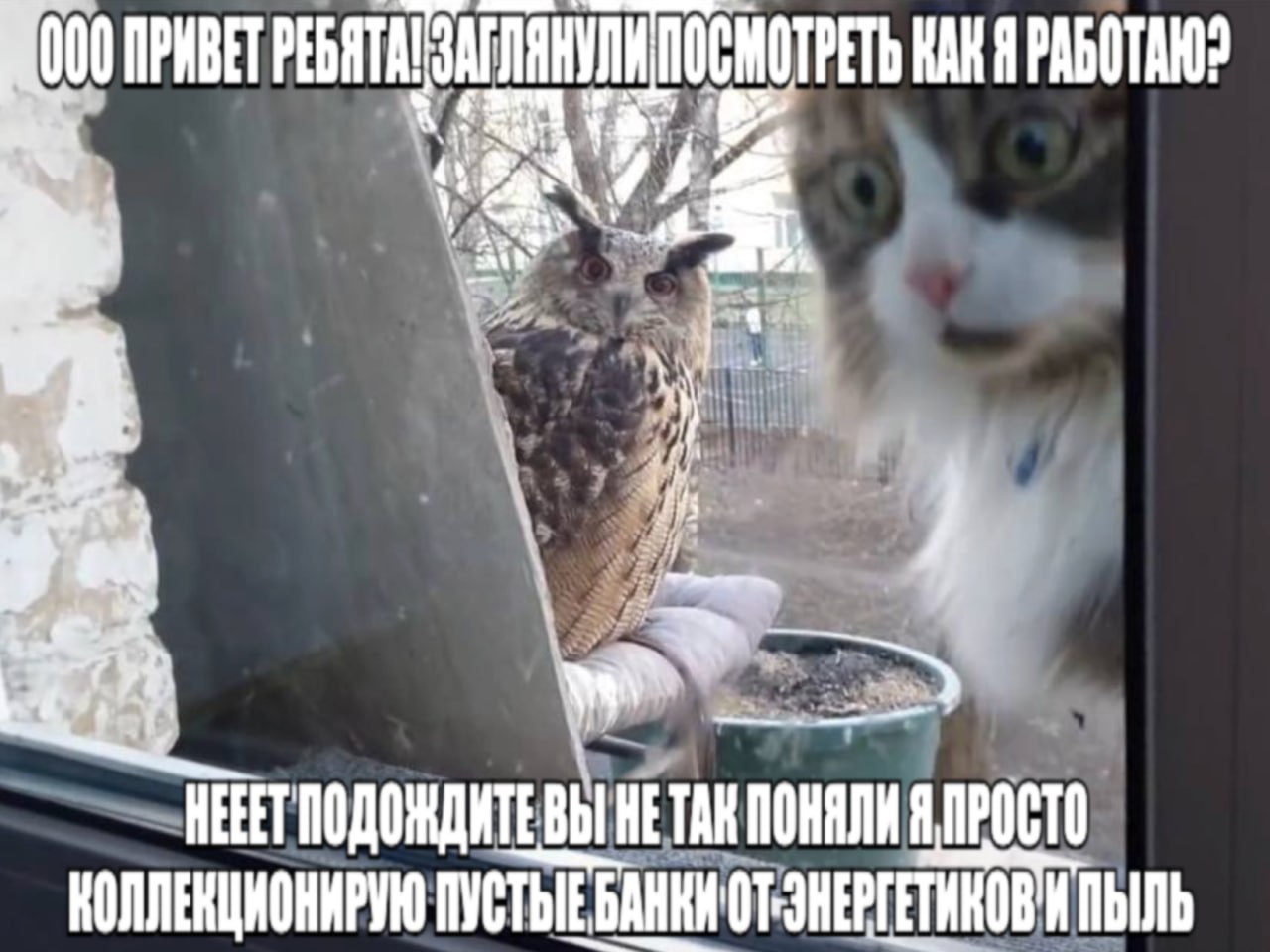 KAK A РАБОТАЮ НЕРЕТ ПОДОЖДИТЕ ВЫ HE TAH ПОНЯЛИ Я ПРОСТО