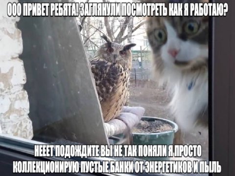 KAK A РАБОТАЮ НЕРЕТ ПОДОЖДИТЕ ВЫ HE TAH ПОНЯЛИ Я ПРОСТО