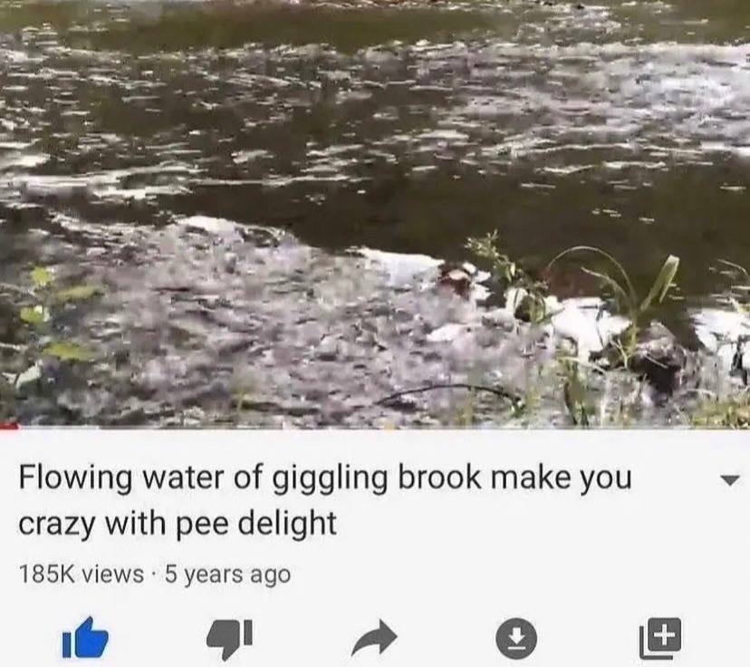 Flowing water of giggling brook make you crazy with pee delight views 5 years ago a»