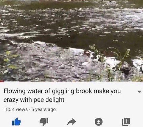 Flowing water of giggling brook make you crazy with pee delight views 5 years ago a»