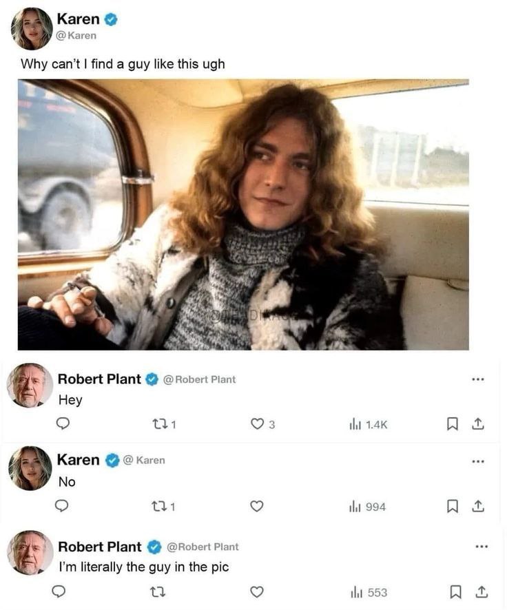 Karen Кагеп Why can’t find а like this ugh 47 Robert Plant Piant Hey 131 3 Karen Karen 131 994 Robert Plant @Robert Plant literally the guy in the pic 553