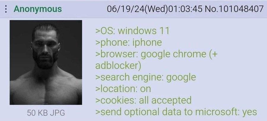 Anonymous 06/19/24(Wed)01:03:45 No.101048407 >05: windows 11 >phone: iphone >browser: google chrome adblocker) >search engine: google on >cookies: all accepted 50 JPG >send optional data to microsoft: