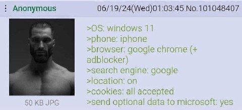 Anonymous 06/19/24(Wed)01:03:45 No.101048407 >05: windows 11 >phone: iphone >browser: google chrome adblocker) >search engine: google on >cookies: all accepted 50 JPG >send optional data to microsoft: