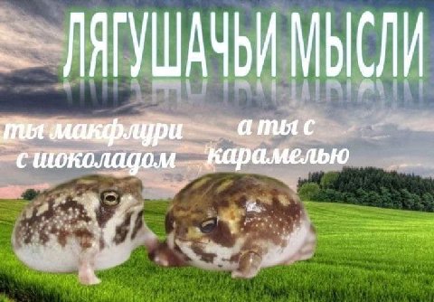 ЛАГУШАЧЬИ МЫСЛИ
