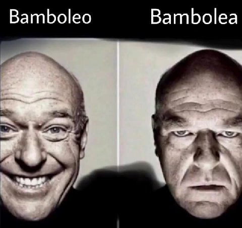 Bamboleo Bambolea