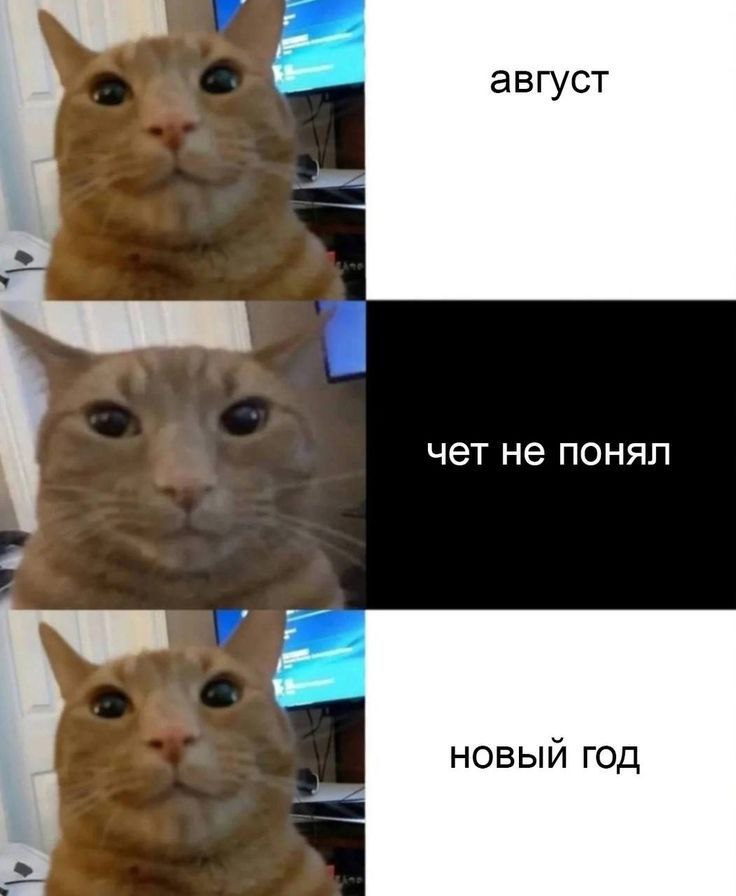 чет не понял НОВЫЙ ГОД