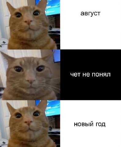 чет не понял НОВЫЙ ГОД