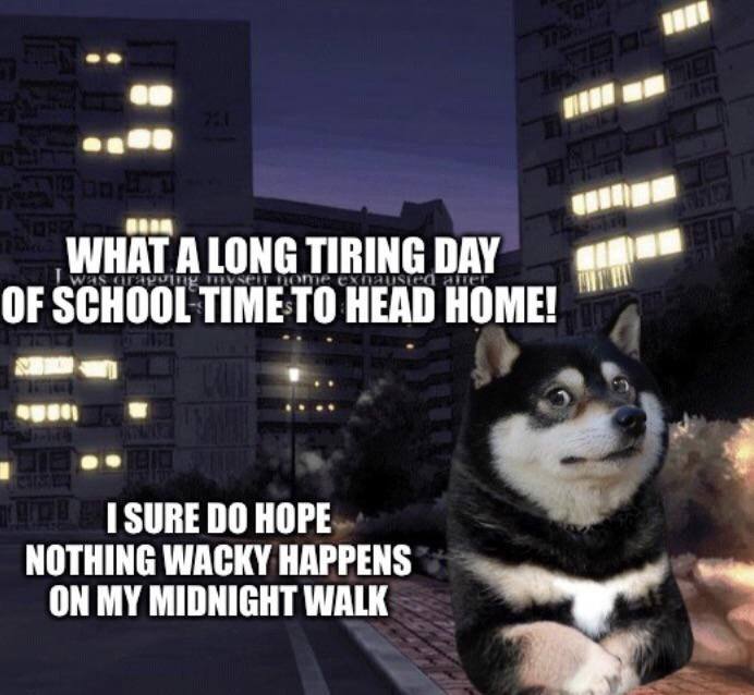 WHAT ALONG TIRING DAY OF SCHOOL TIME: То HEAD HOME! a) SURE HOPE NOTHING WACKY HAPPENS ON MY MIDNIGHT WALK