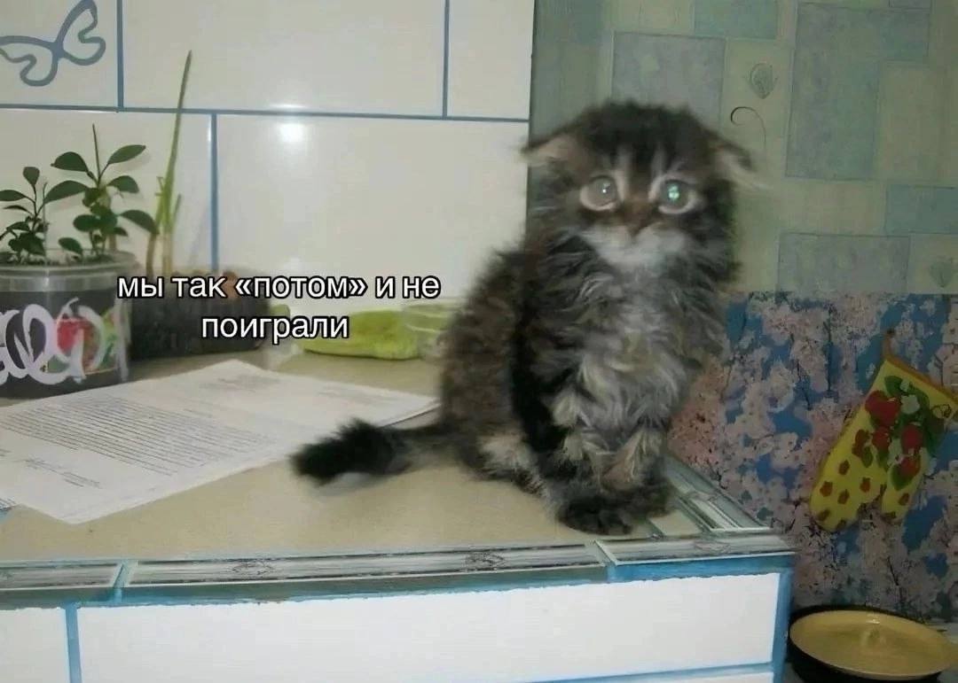 мы так «потом» ине поиграли
