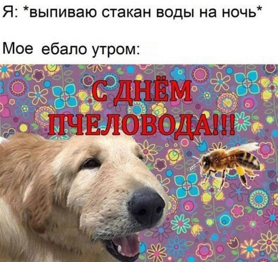 Я: *выпиваю стакан воды на ночь* Мое ебало утром: бы see a Oho