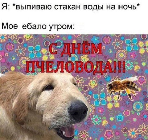 Я: *выпиваю стакан воды на ночь* Мое ебало утром: бы see a Oho