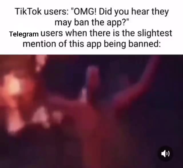 TikTok users: "OMG! Did you hear they Telegram users when there is the slightest mention of this app being banned: