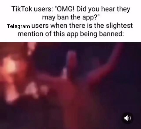 TikTok users: "OMG! Did you hear they Telegram users when there is the slightest mention of this app being banned: