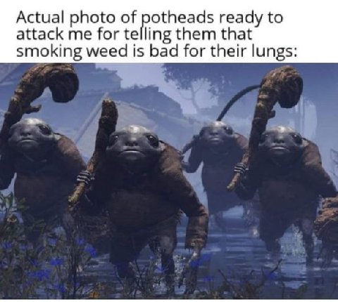 Actual photo of potheads ready to attack me for telling them that smoking weed is bad for their lungs: