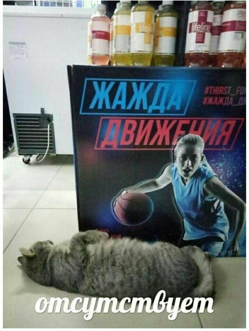 у neyf пствуеп