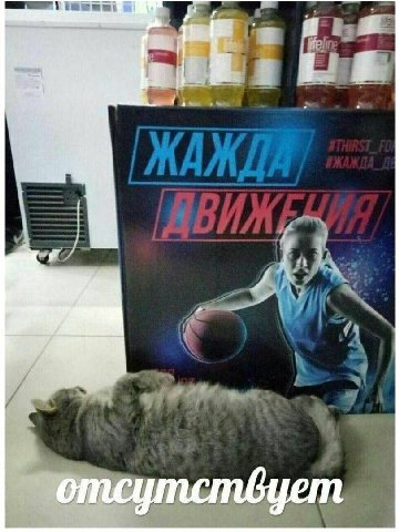 у neyf пствуеп