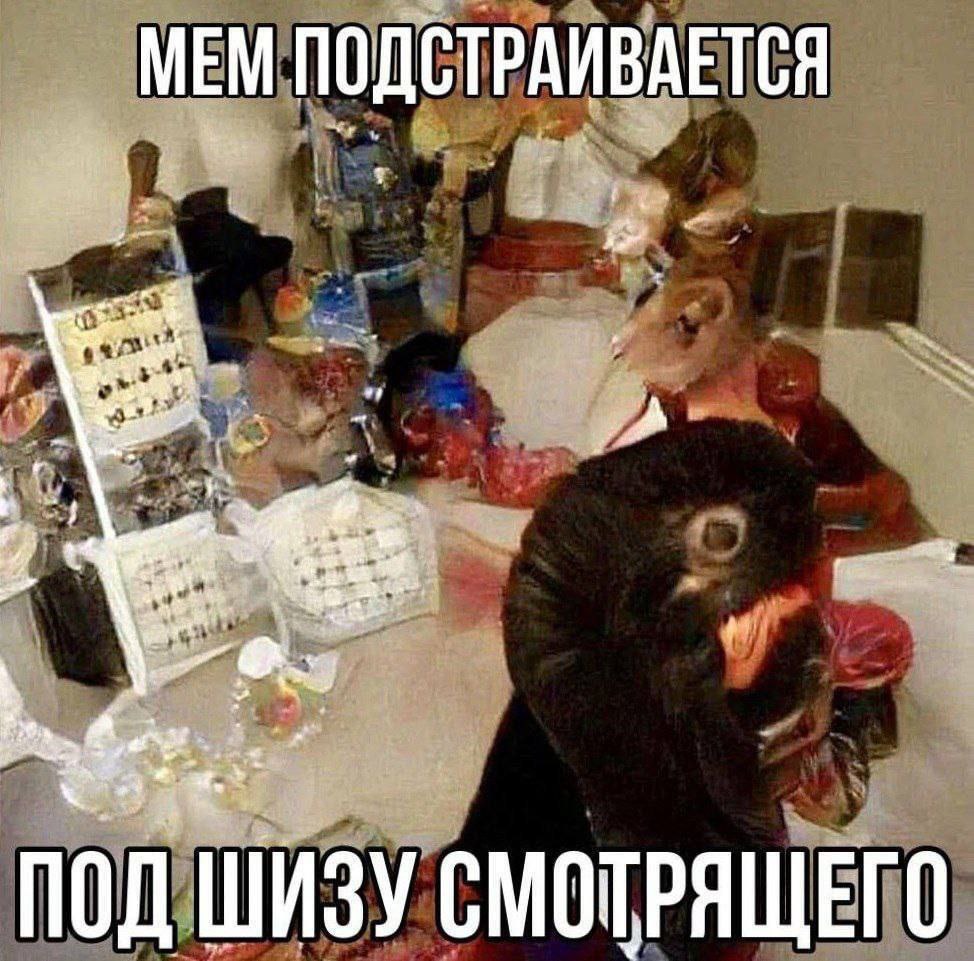 MEM ПОДСТРАИВАЕТСЯ ПОД ШИЗУ СМОТРЯЩЕГО
