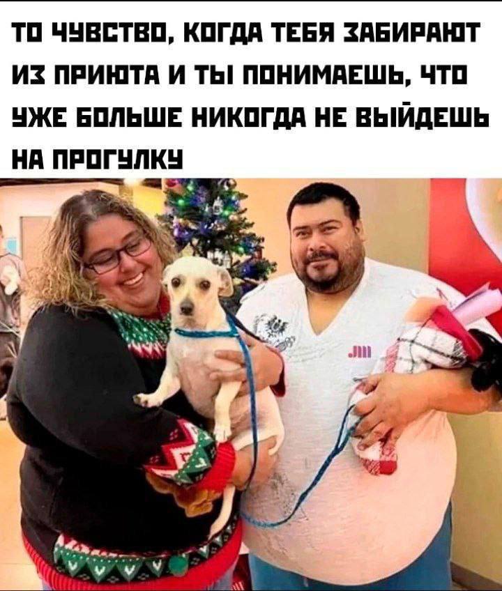 ТО ЧУВСТВО, КОГДА ТЕБЯ ЗАБИРАЮТ ИЗ ПРИЮТА И ТЫ! ПОНИМАЕШЬ, ЧТО УЖЕ БОЛЬШЕ НИКОГДА НЕ ВЫИДЕШЬ НА ПРОГУЛКУ 4 as 4 it 4 ли 4