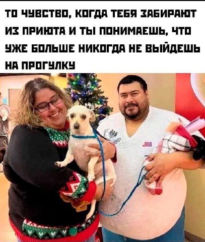 ТО ЧУВСТВО, КОГДА ТЕБЯ ЗАБИРАЮТ ИЗ ПРИЮТА И ТЫ! ПОНИМАЕШЬ, ЧТО УЖЕ БОЛЬШЕ НИКОГДА НЕ ВЫИДЕШЬ НА ПРОГУЛКУ 4 as 4 it 4 ли 4