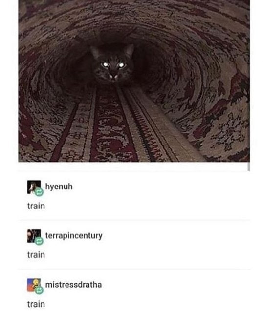 hyenuh train terrapincentury train mistressdratha train